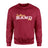 Custom Band Mascot and Musician Name on a Sweatshirt with a White Graphic